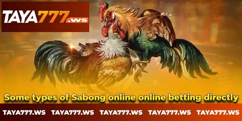 Some types of Sabong online online betting directly Some types of Sabong online online betting directly