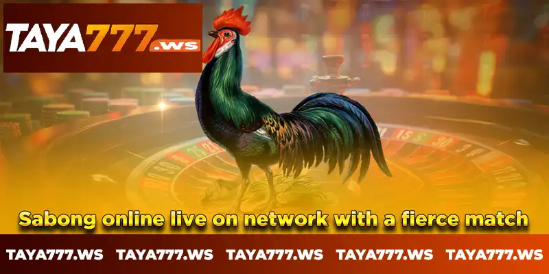 Sabong online live on network with a fierce match Sabong online live on network with a fierce match