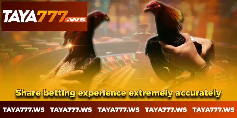 Share betting experience extremely accurately Share betting experience extremely accurately