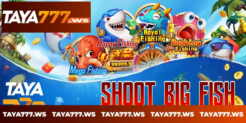 Shoot big fish Shoot big fish