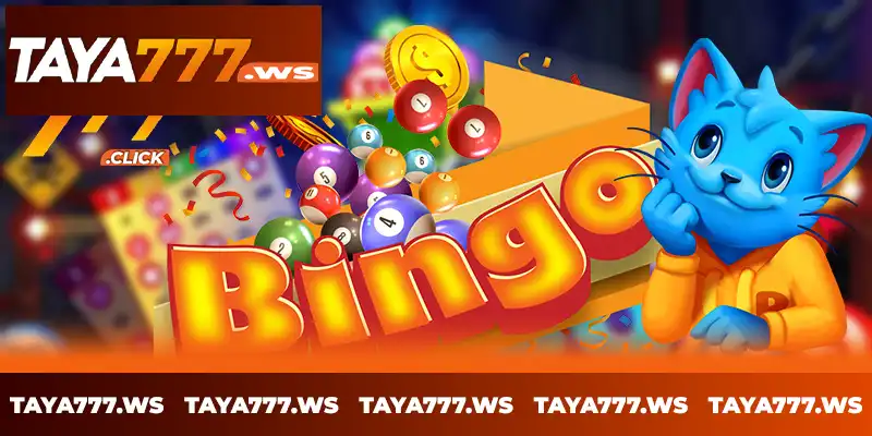 Why choose TAYA777 Bingo to play Bingo online? Why choose TAYA777 Bingo to play Bingo online?